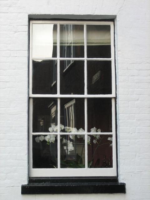 min 2011 11 19 rye gw 037